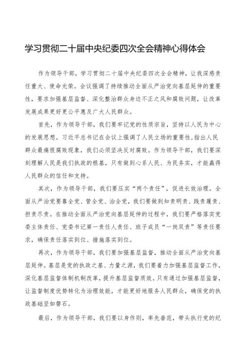 纪检监察干部学习贯彻二十中央纪委四次全会重要精神学习体会十三篇.docx