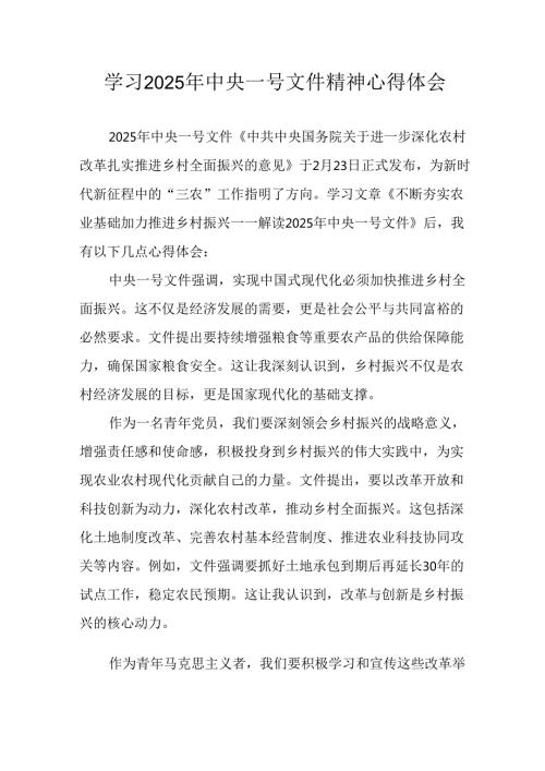 学习2025年中央一号文件精神心得体会 （汇编5份）.docx