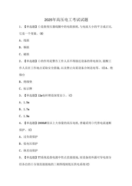 2025年高压电工考试试题.docx
