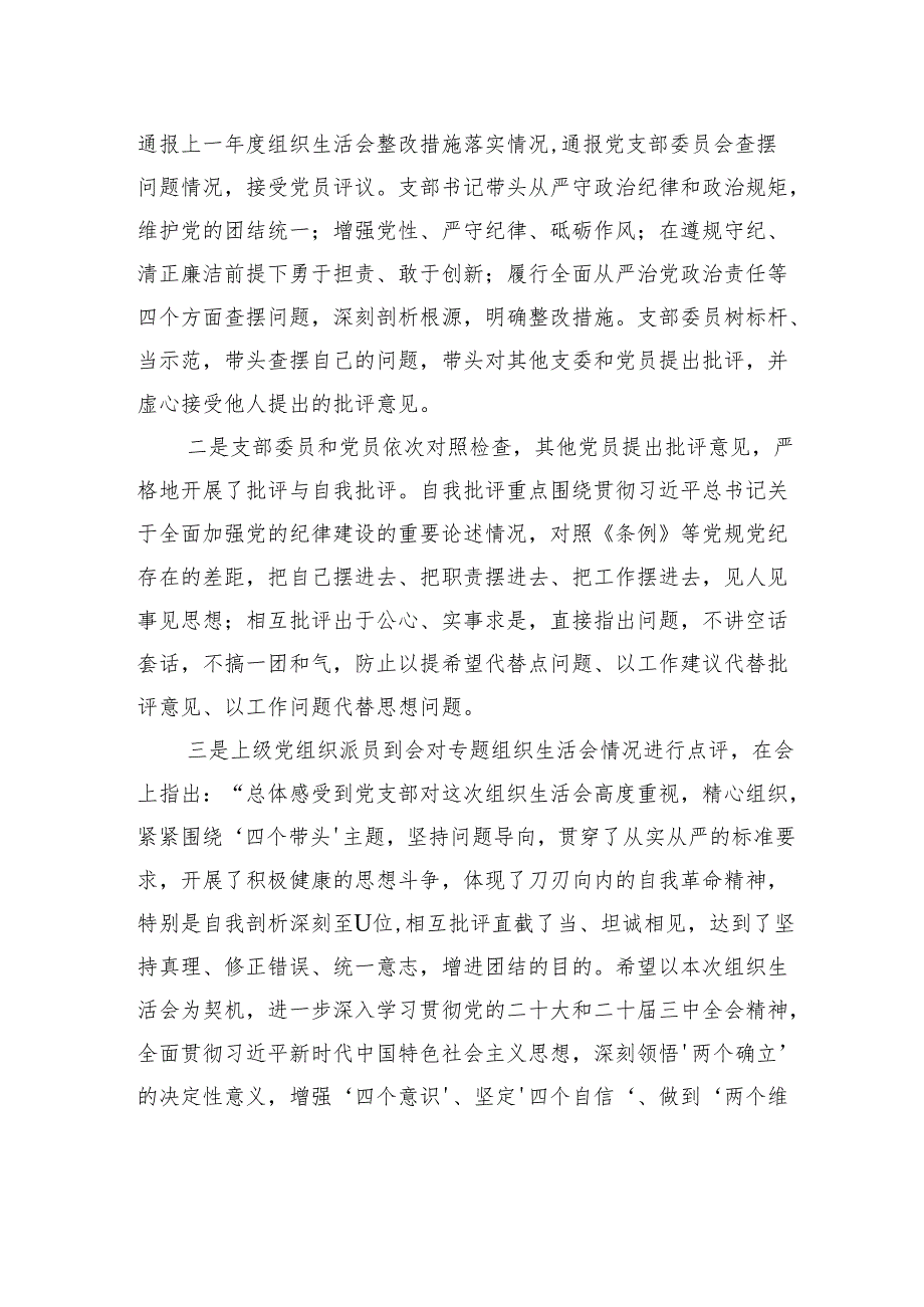 党支部2024组织生活会召开情况报告材料.docx_第3页