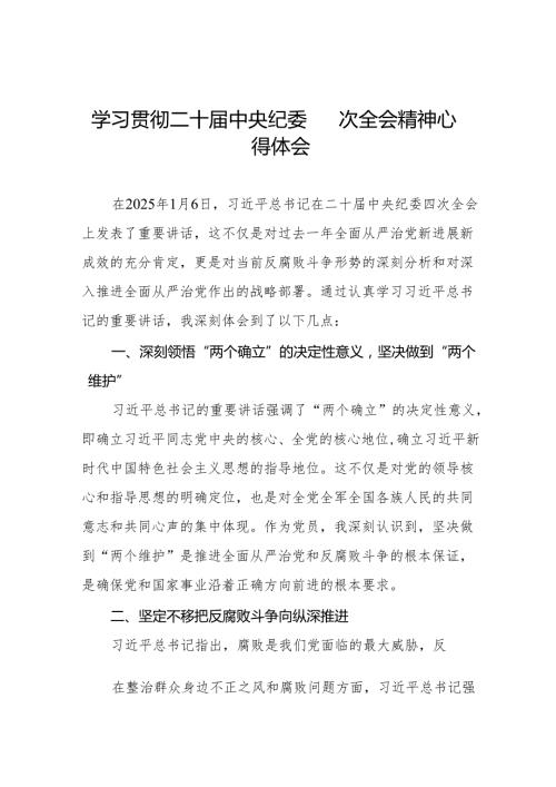 纪检干部学习贯彻二十中央纪委四次全会精神的心得感悟十三篇.docx
