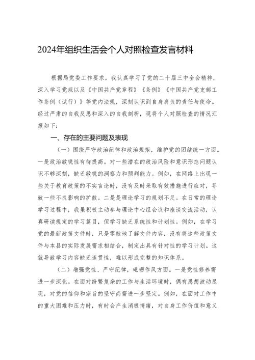 2024组织生活会个人对照检查发言检视材料.docx