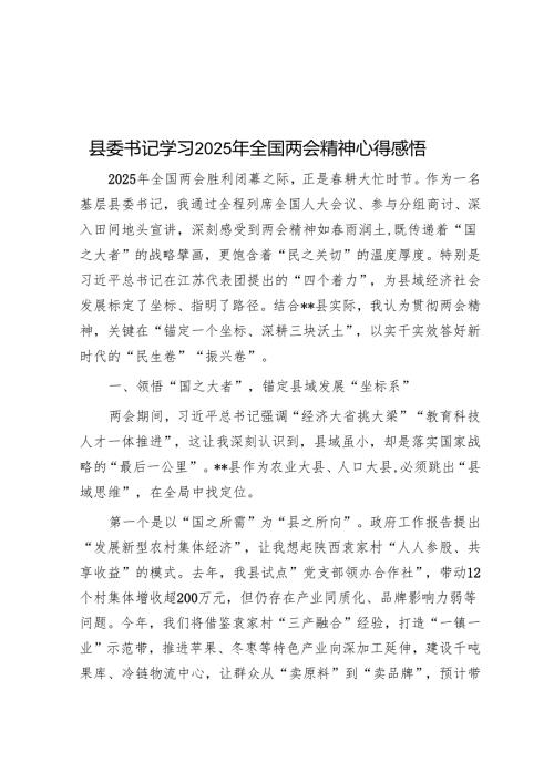 县委书记学习2025年全国两会精神心得感悟.docx