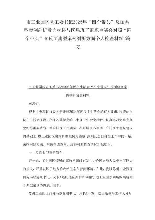 市工业园区党工委书记2025年“四个带头”反面典型案例剖析发言材料与区局班子组织生活会对照“四个带头”含反面典型案例剖析方面个人检查材料2篇文.docx