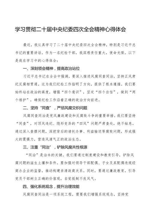 纪检干部学习贯彻二十中央纪委四次全会精神的心得体会发言材料十三篇.docx