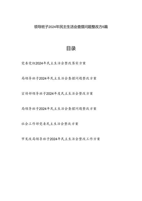 领导班子四个带头2025民主生活会查摆问题整改方6篇.docx
