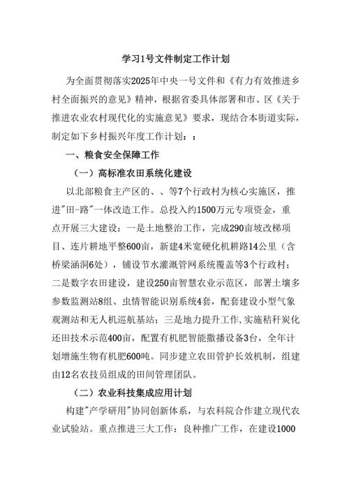 学习1号文件制定工作计划(1).docx