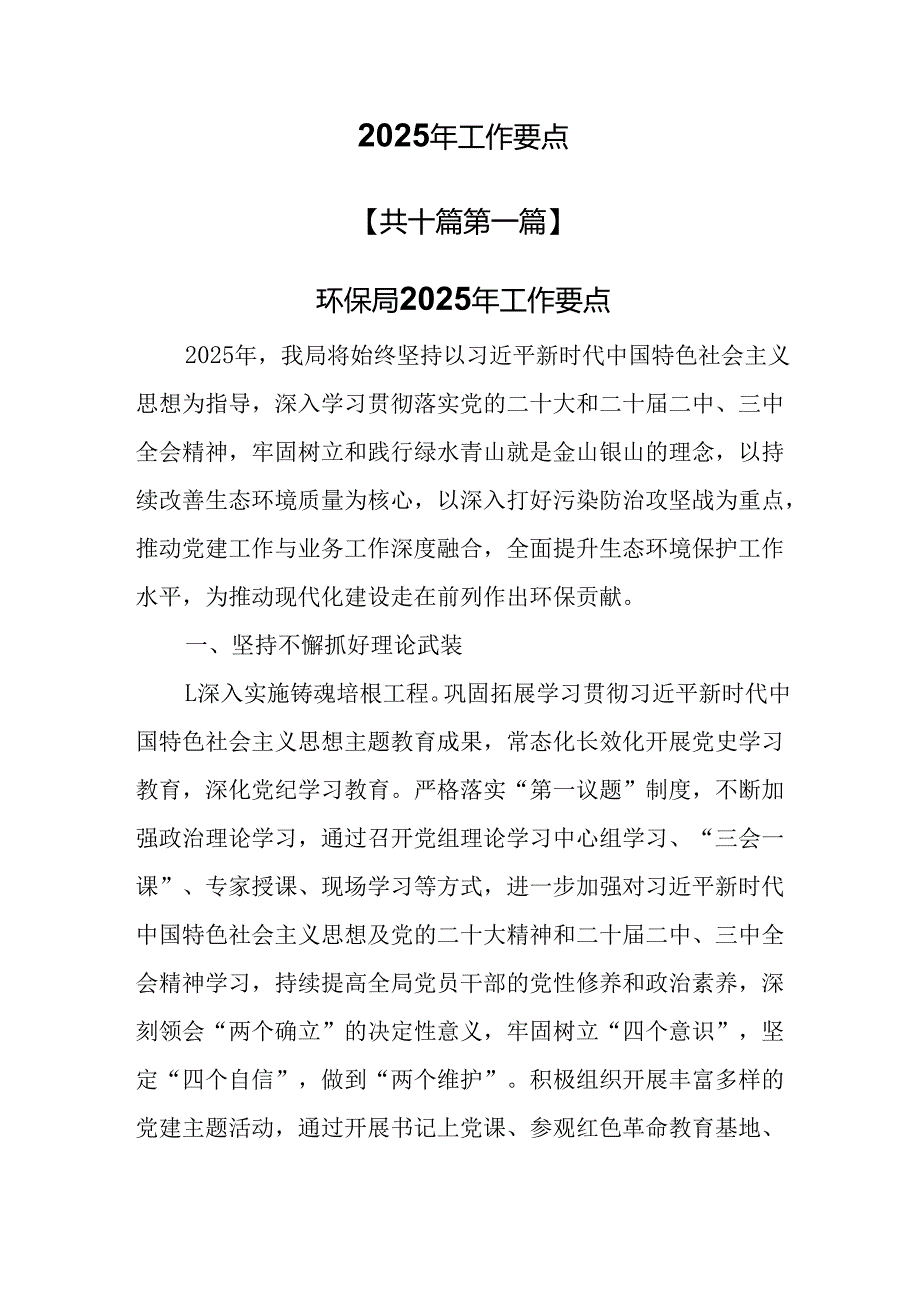 （10篇）2025年工作要点.docx_第1页