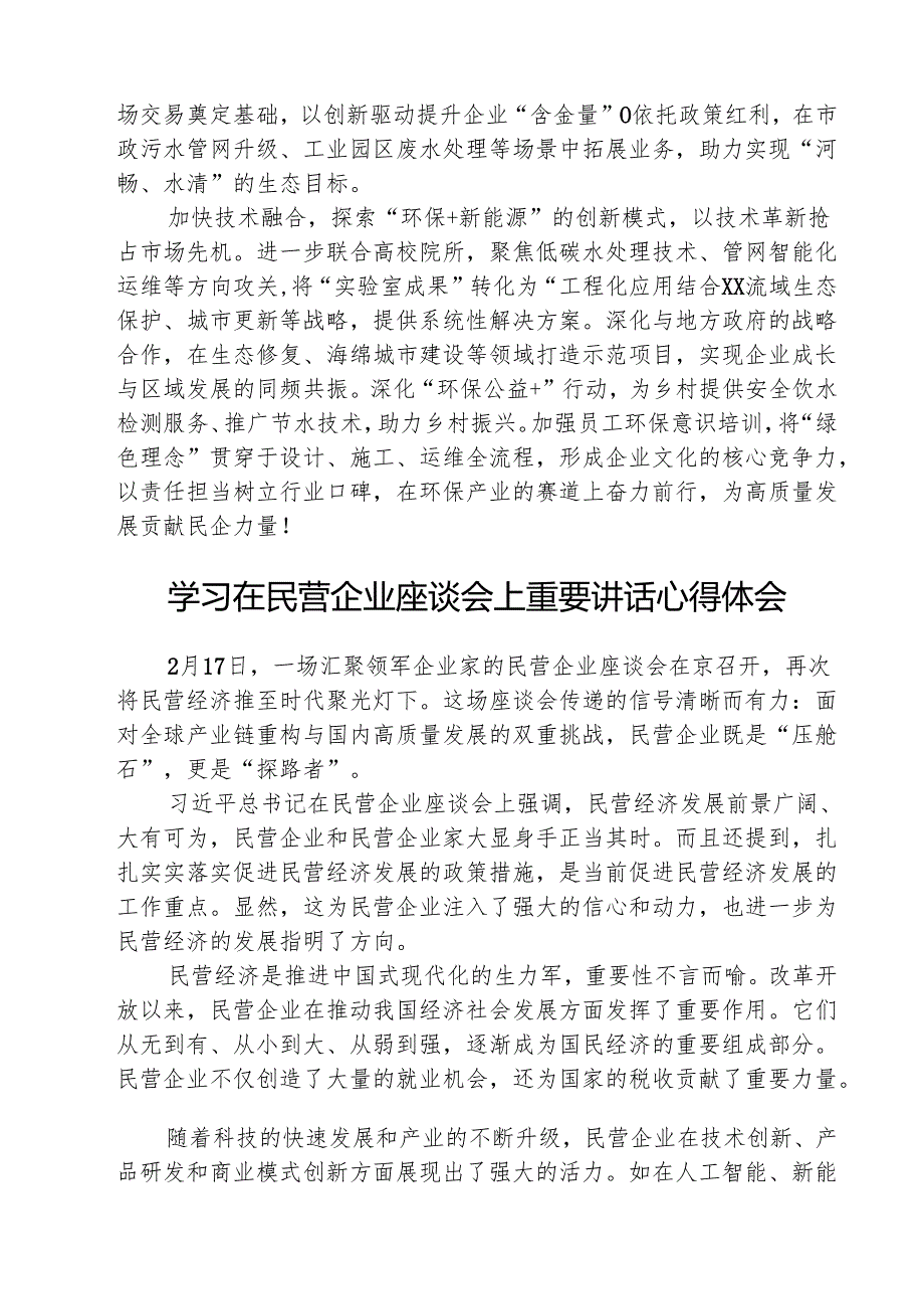 （三篇）学习2025年民营企业座谈会心得体会合计.docx_第2页