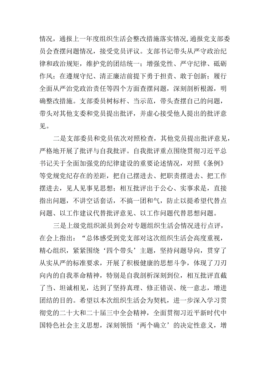 党支部20242025组织生活会召开情况总结报告.docx_第3页