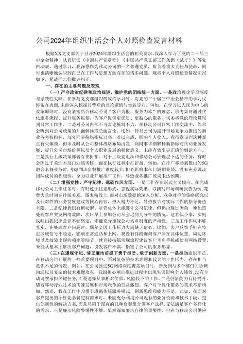公司2024年组织生活会个人对照检查发言材料.docx