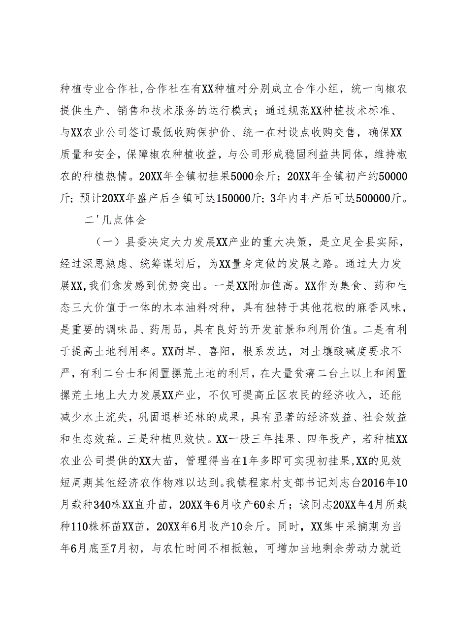 产业发展调研报告.docx_第2页