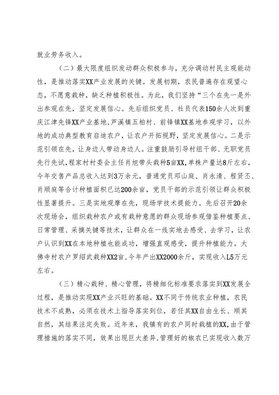 产业发展调研报告.docx_第3页