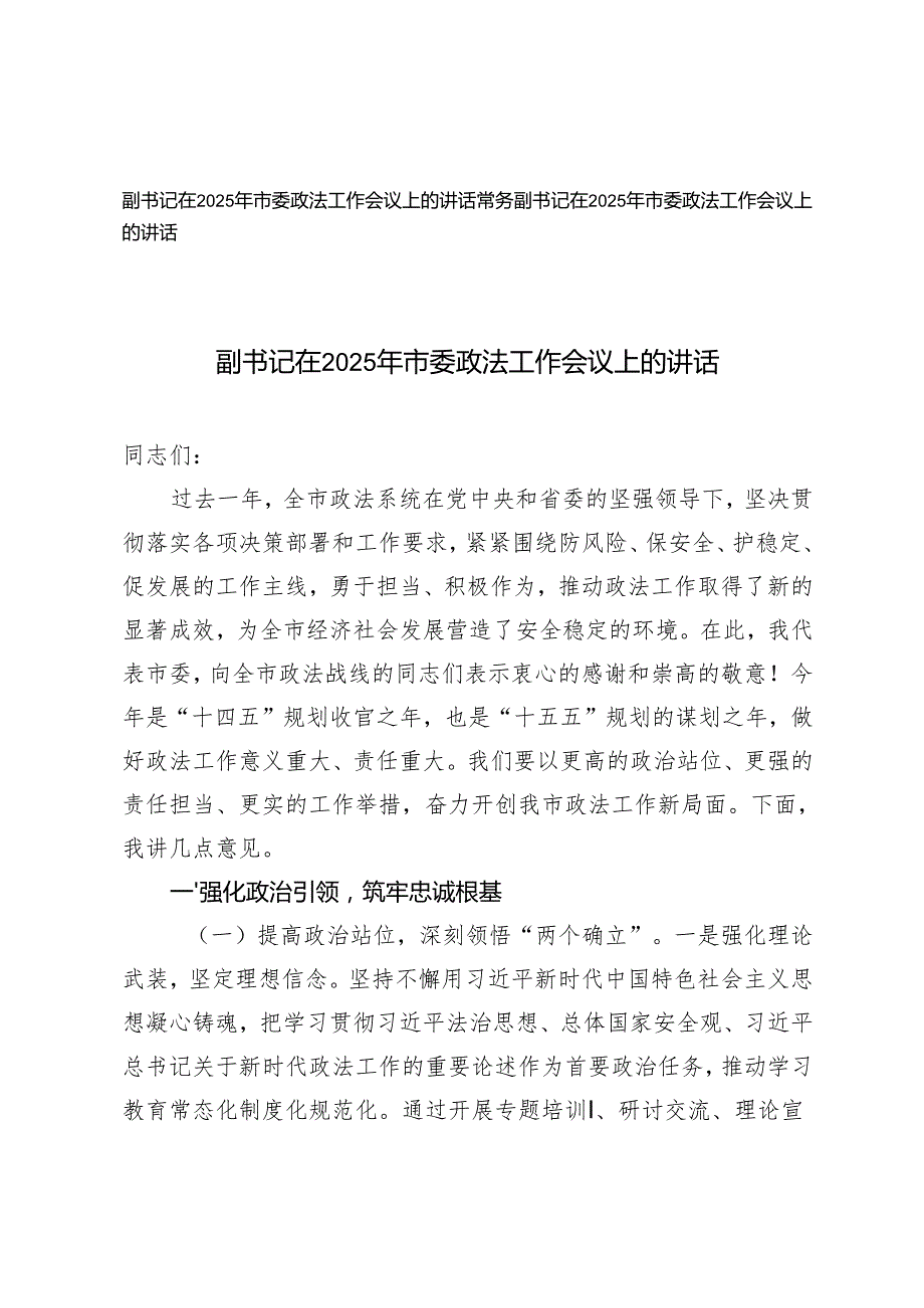 常务副书记、副书记在2025年市委政法工作会议上的讲话.docx_第1页