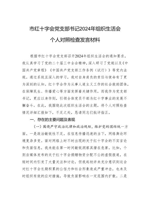 红十字会党支部书记2024组织生活个人检查发言材料.docx