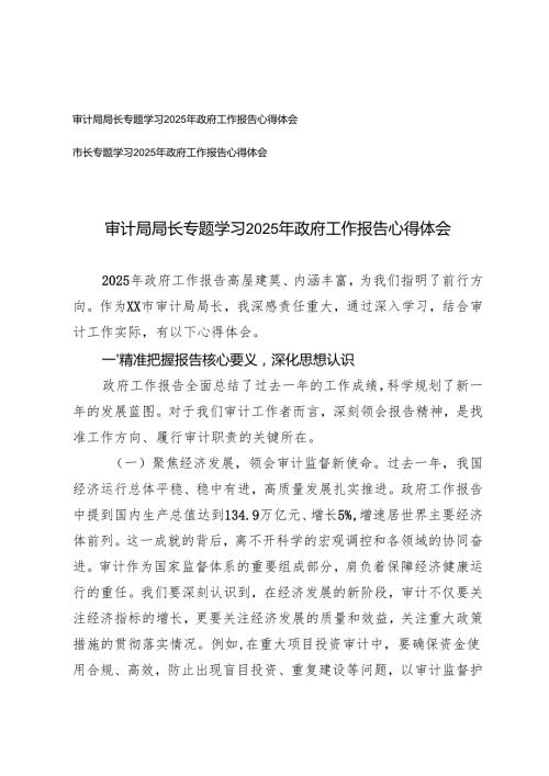 审计局局长、市长专题学习2025年政府工作报告心得体会研讨发言.docx