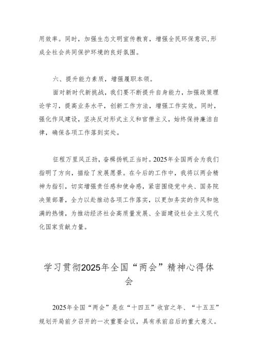 五篇 学习贯彻2025年全国“两会”精神交流发言心得体会.docx
