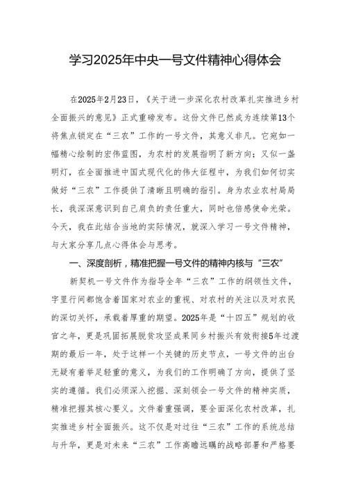 学习2025年中央一号文件精神个人心得体会 合计4份.docx