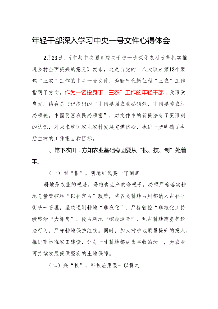 年轻干部深入学习2025年中央一号文件心得体会感想.docx_第1页