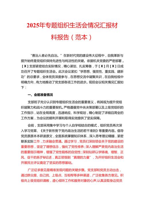 2025年专题组织生活会情况汇报材料报告（范本）.docx