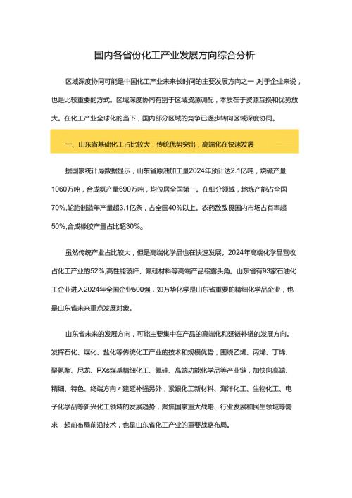 国内各省份化工产业发展方向综合分析.docx