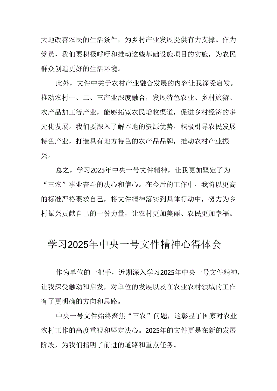 学习2025年中央一号文件精神心得体会 合计4份.docx_第2页