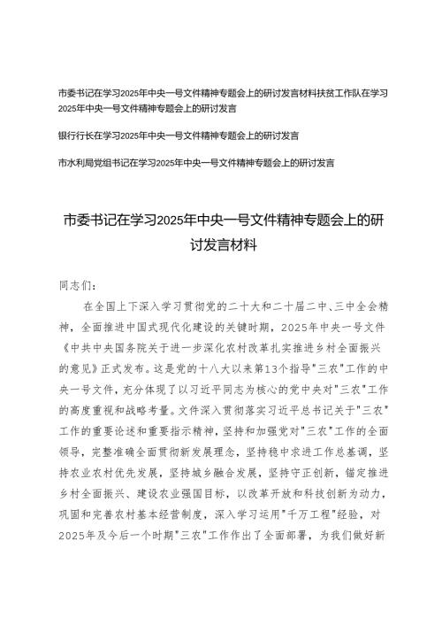 （水利局党组书记、银行行长、扶贫工作队、市委书记）在学习2025年中央一号文件精神专题会上的研讨发言材料.docx