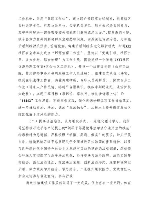 （8篇）2025党政主要负责人履行推进法治建设第一责任人职责述职报告合辑.docx