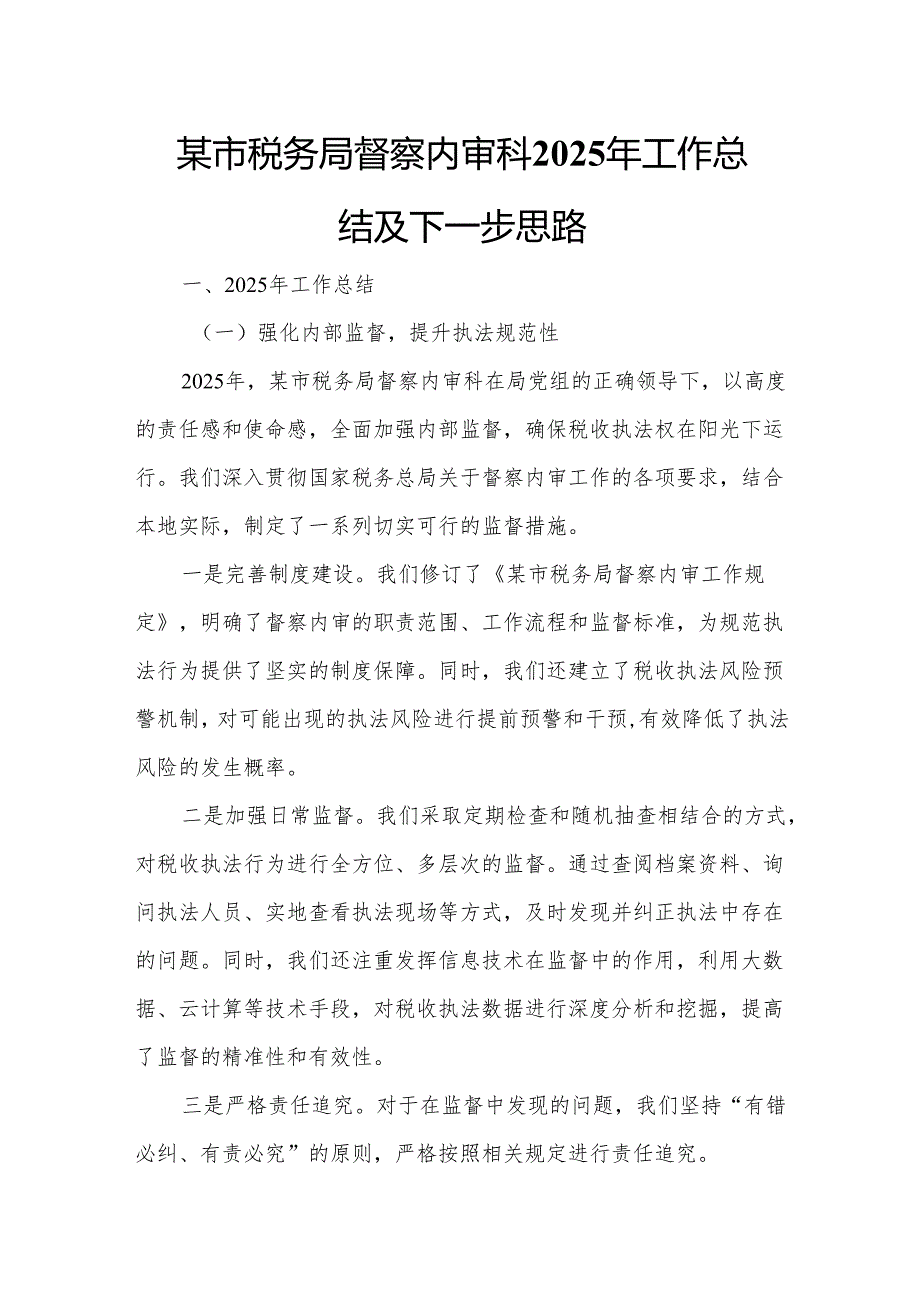 某市税务局督察内审科2025年工作总结及下一步思路.docx_第1页