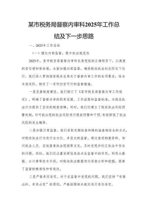 某市税务局督察内审科2025年工作总结及下一步思路.docx