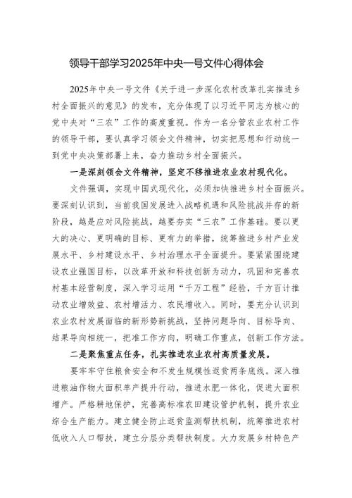 分管农业农村工作的领导干部学习2025年中央一号文件心得体会感想.docx