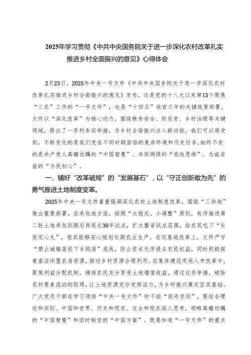 三篇 2025年学习贯彻《中共中央国务院关于进一步深化农村改革扎实推进乡村全面振兴的意见》心得体会范文.docx