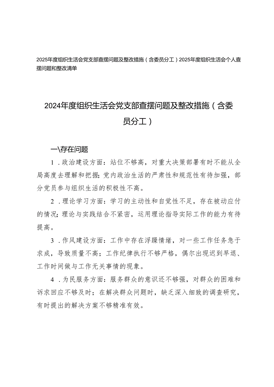 2024组织生活会党支部查摆问题及整改措施（含委员分工）+组织生活会个人查摆问题和整改清单.docx_第1页