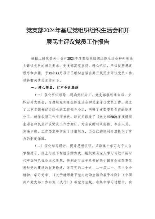 党支部2024年基层党组织组织生活会和开展民主评议党员工作报告.docx