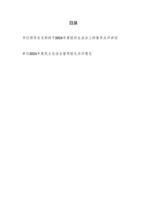 书记领导在支部班子2024组织生活会上的督导点评讲话和督导组长点评意见.docx