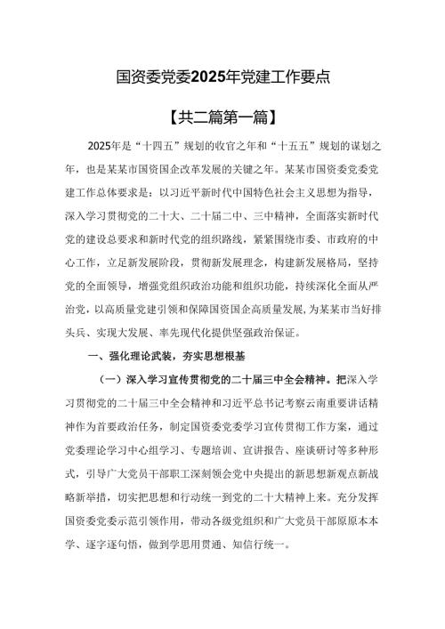 （2篇）国资委党委2025年党建工作要点.docx