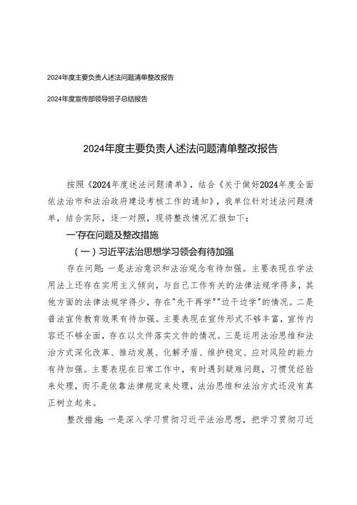 20242025主要负责人述法问题清单整改报告+宣传部领导班子总结报告.docx