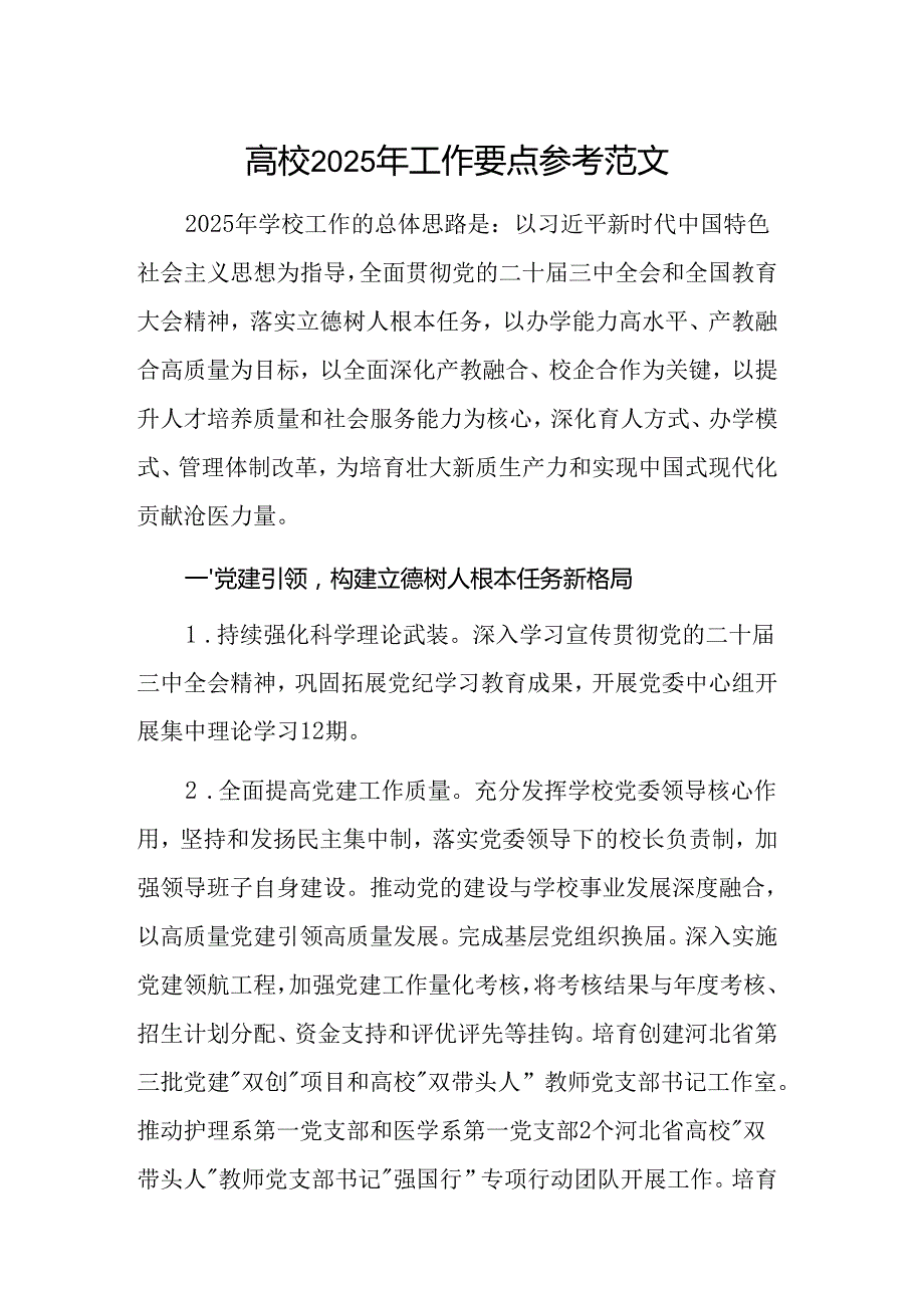 高校2025年工作要点参考范文.docx_第1页