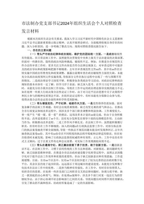 市法制办党支部书记2024年组织生活会个人对照检查发言材料.docx