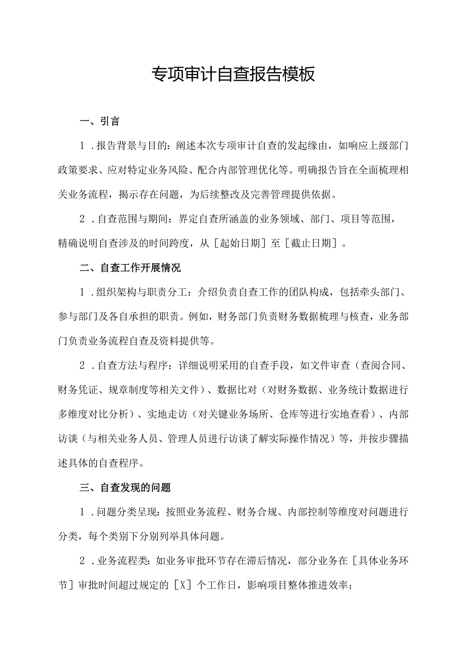 专项审计自查报告模板.docx_第1页
