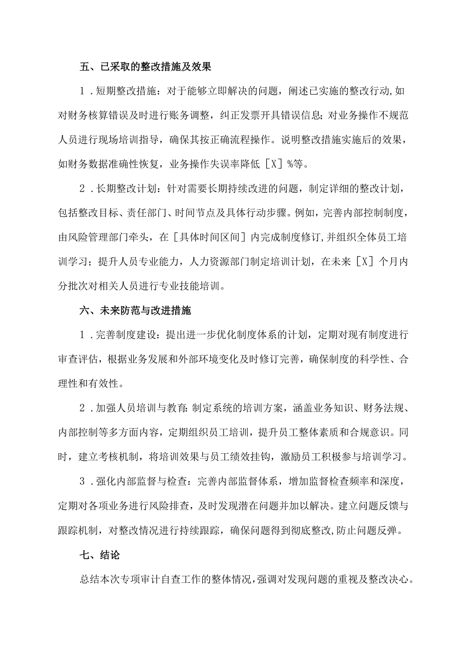 专项审计自查报告模板.docx_第3页