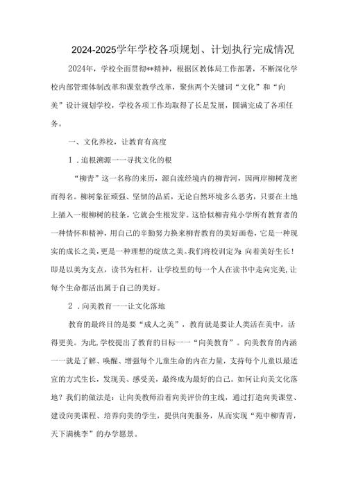 2024—2025学校各项规划、计划执行完成情况.docx