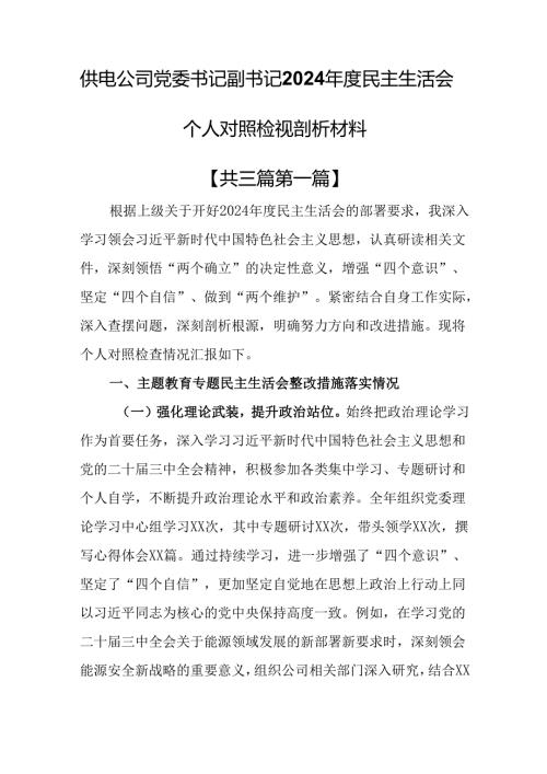 （3篇）供电公司党委书记副书记2024民主生活会个人对照检视剖析材料.docx