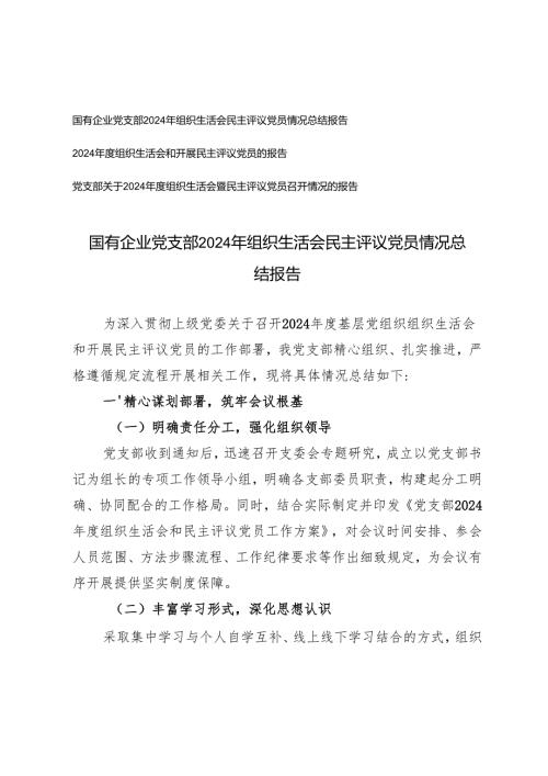 3篇 2025年国有企业党支部关于组织生活会暨民主评议党员召开情况的报告.docx