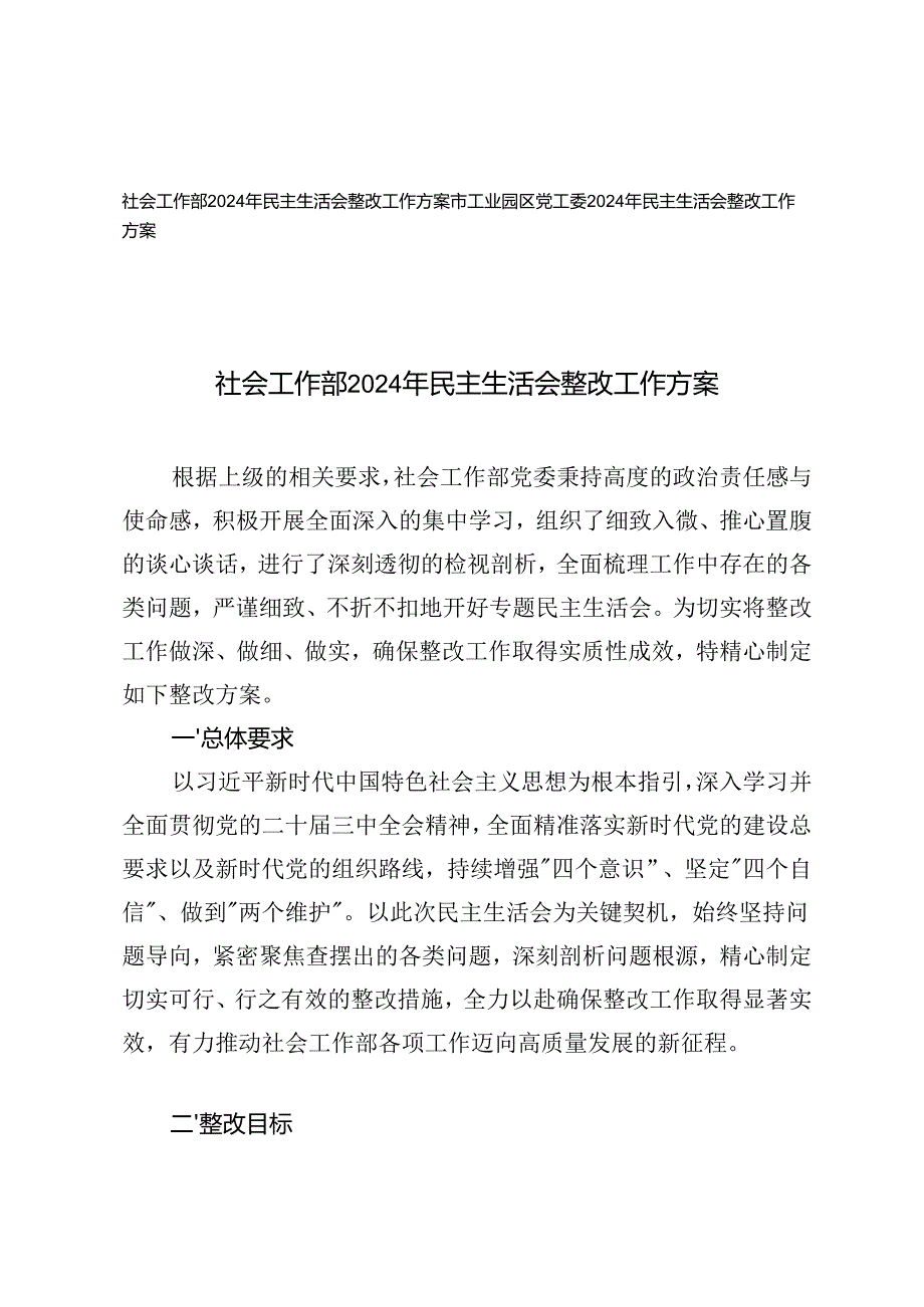 工业园区党工委、社会工作部20242025年民主生活会整改工作方案.docx_第1页