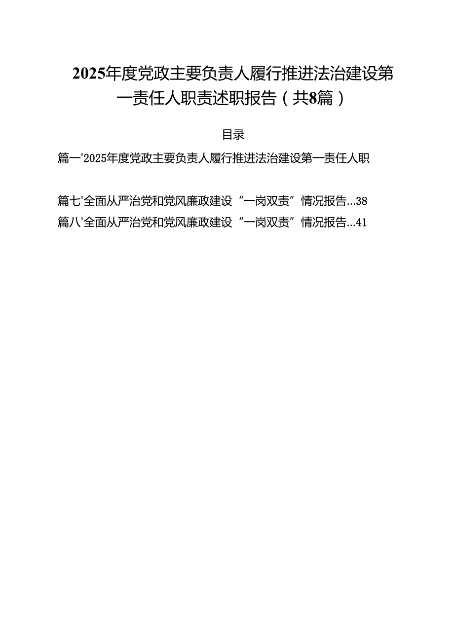（8篇）2025党政主要负责人履行推进法治建设第一责任人职责述职报告精编.docx_第1页
