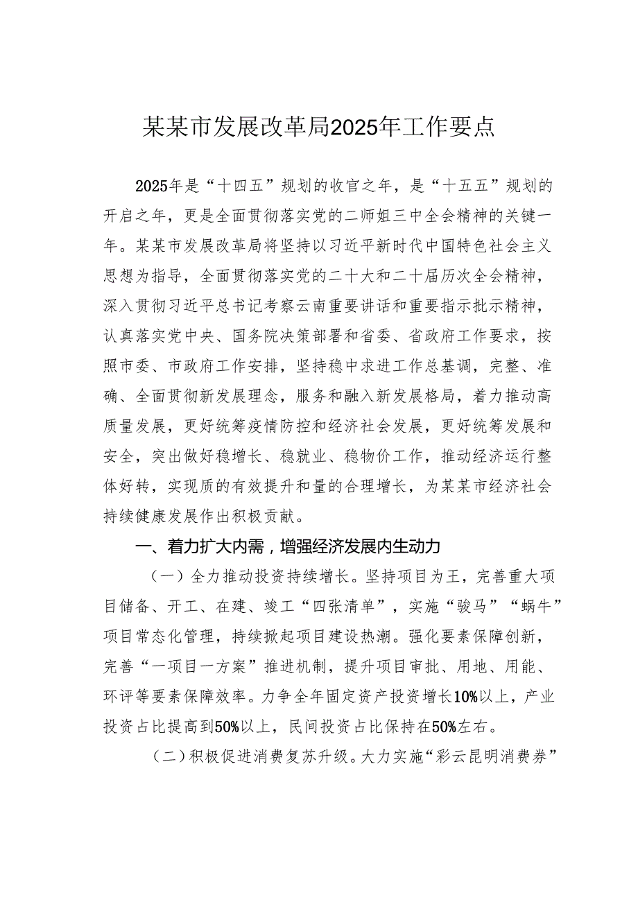 某某市发展改革局2025年工作要点.docx_第1页
