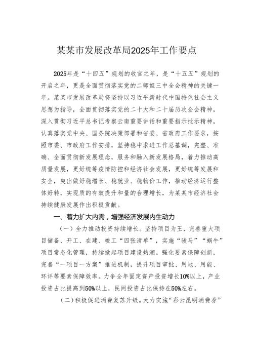 某某市发展改革局2025年工作要点.docx