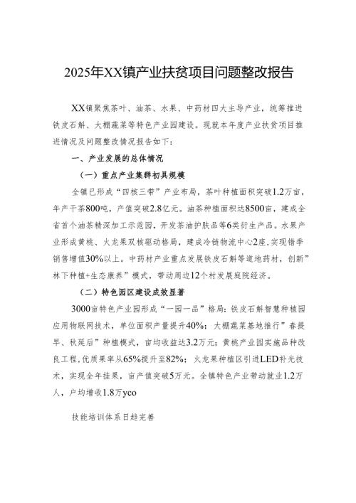 2025年镇产业扶贫项目问题整改报告.docx