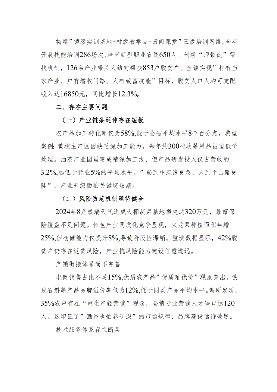 2025年镇产业扶贫项目问题整改报告.docx_第2页